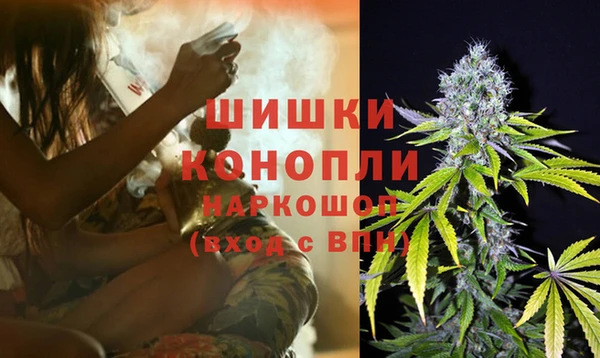 стаф Белоозёрский