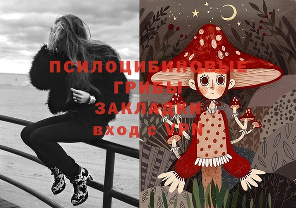 амф Белокуриха