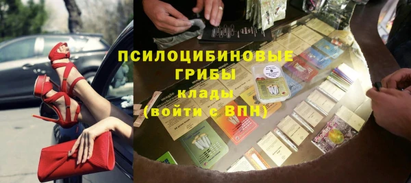 амф Белокуриха
