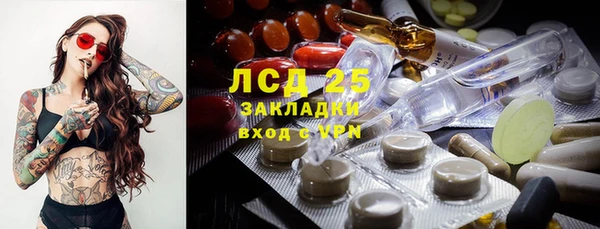 стаф Белоозёрский