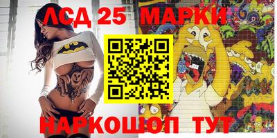 гидропоника Пушкино