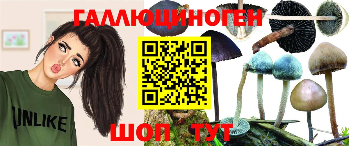 Псилоцибиновые грибы ЛСД Сегежа